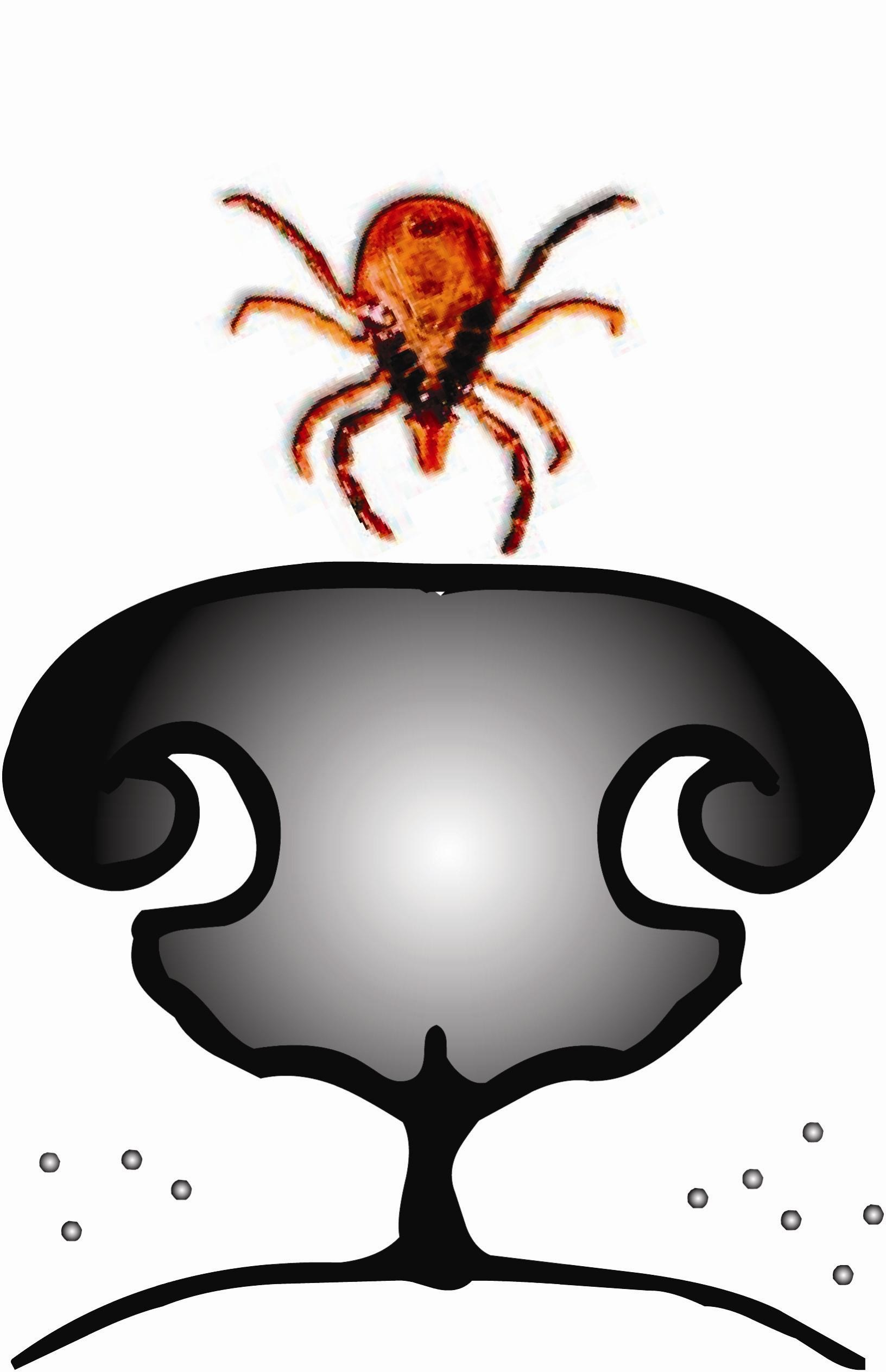 Saul Chemonges Portfolio logo